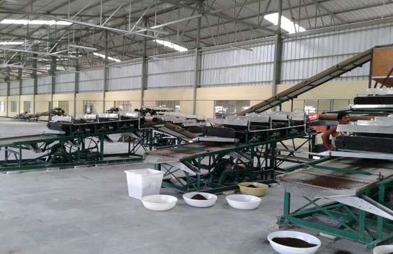 Begati Tea Factory